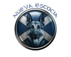 Formacion Nueva Escocia